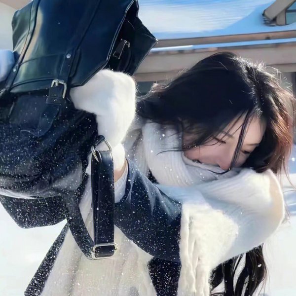 戴洛奇小镇第一季